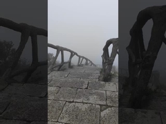 Climb Hill for Team Building